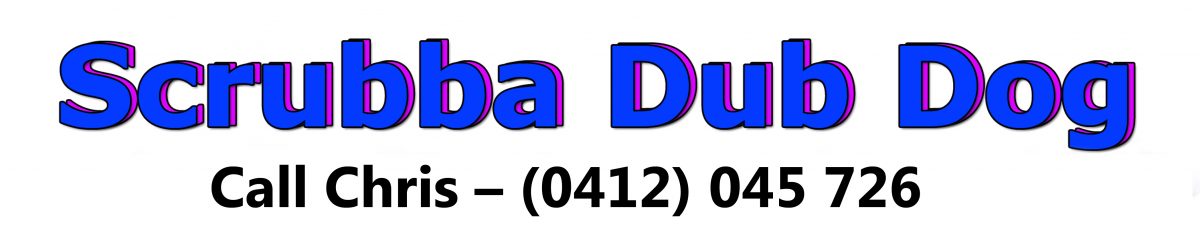 Premium Dog Grooming