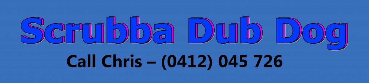 Premium Dog Grooming